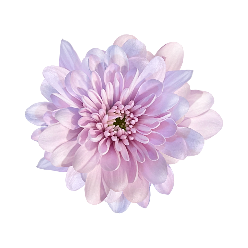 SANDRA TERBLANCHE – Clinical Psychologist Bloemfontein
